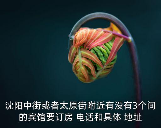 沈陽(yáng)中街或者太原街附近有沒(méi)有3個(gè)間的賓館要訂房 電話和具體 地址