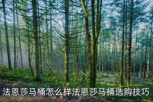 法恩莎馬桶怎么樣法恩莎馬桶選購(gòu)技巧