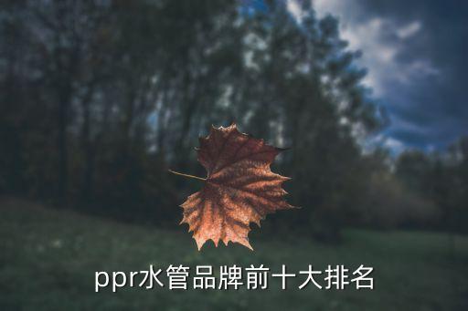 ppr水管品牌前十大排名