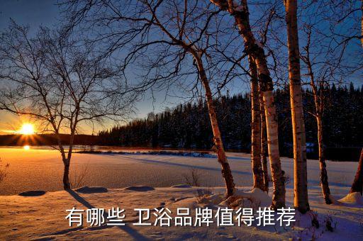 有哪些 衛(wèi)浴品牌值得推薦