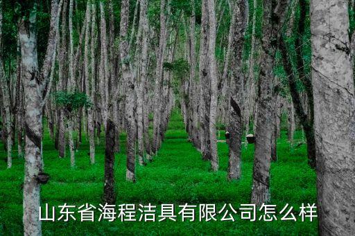 山東省海程潔具有限公司怎么樣