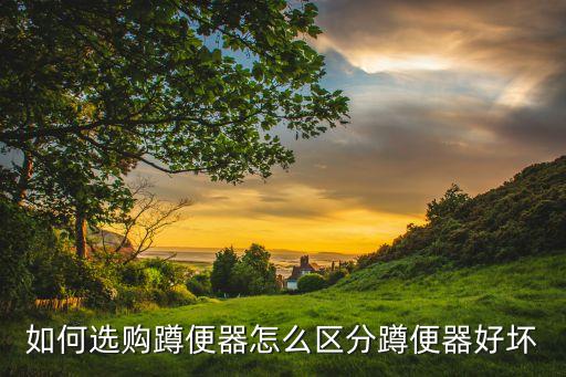 衛(wèi)浴蹲坑牌子圖片欣賞高清
