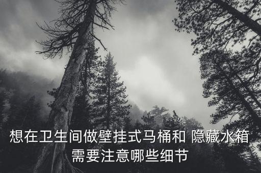 衛(wèi)浴間隱藏下水口圖片真實(shí)