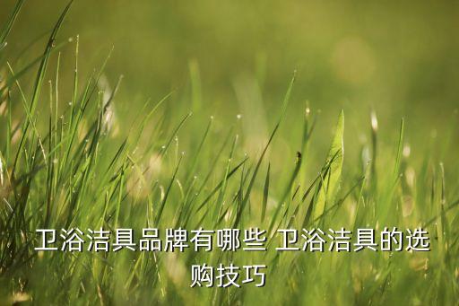  衛(wèi)浴潔具品牌有哪些 衛(wèi)浴潔具的選購(gòu)技巧