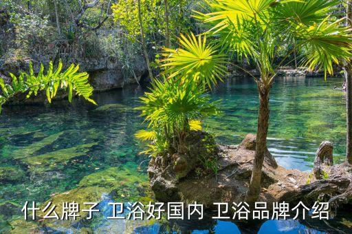 什么牌子 衛(wèi)浴好國內(nèi) 衛(wèi)浴品牌介紹