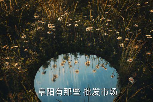  阜陽(yáng)有那些 批發(fā)市場(chǎng)