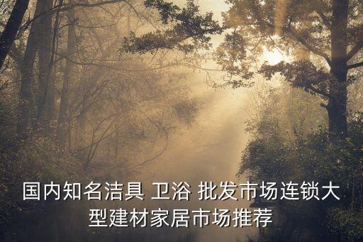 國(guó)內(nèi)知名潔具 衛(wèi)浴 批發(fā)市場(chǎng)連鎖大型建材家居市場(chǎng)推薦
