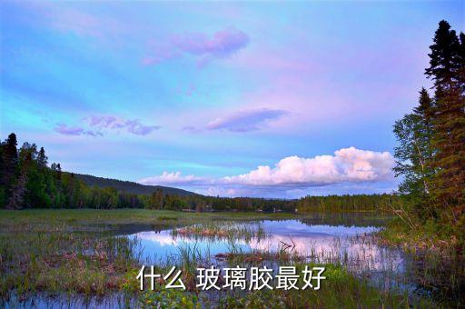 衛(wèi)浴玻璃膠美甲推薦品牌