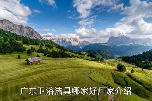 廣東衛(wèi)浴潔具哪家好廠家介紹