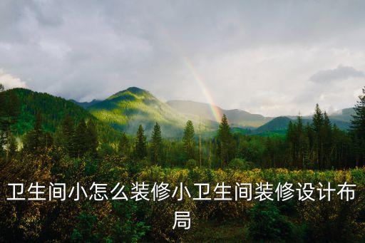 衛(wèi)生間小怎么裝修小衛(wèi)生間裝修設(shè)計布局