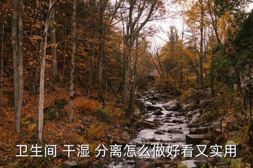 衛(wèi)生間 干濕 分離怎么做好看又實(shí)用