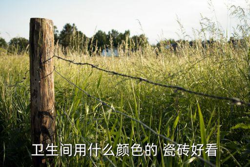 衛(wèi)生間用什么顏色的 瓷磚好看