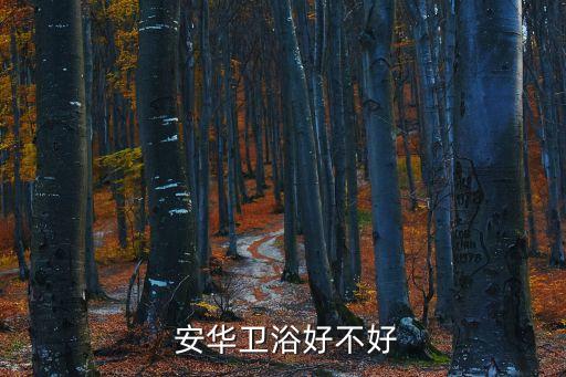  安華衛(wèi)浴好不好
