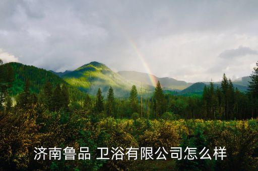  濟南魯品 衛(wèi)浴有限公司怎么樣