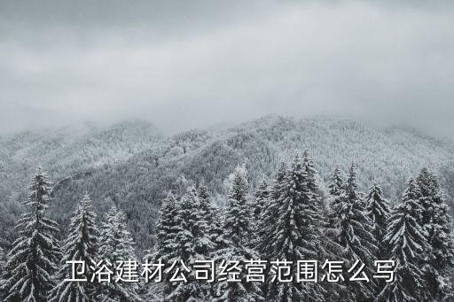  衛(wèi)浴建材公司經(jīng)營范圍怎么寫