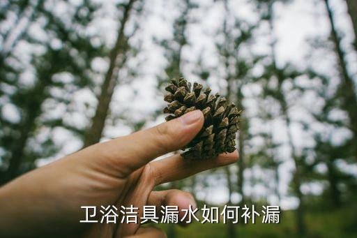 衛(wèi)浴潔具漏水如何補(bǔ)漏