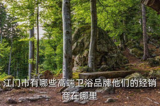 江門市有哪些高端衛(wèi)浴品牌他們的經(jīng)銷商在哪里