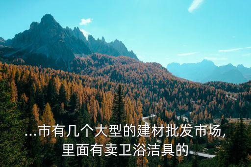 ...市有幾個(gè)大型的建材批發(fā)市場(chǎng),里面有賣衛(wèi)浴潔具的