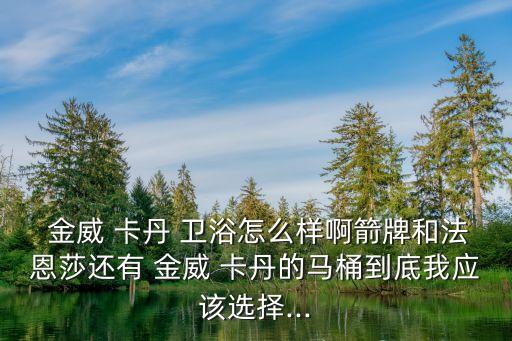  金威 卡丹 衛(wèi)浴怎么樣啊箭牌和法恩莎還有 金威 卡丹的馬桶到底我應該選擇...
