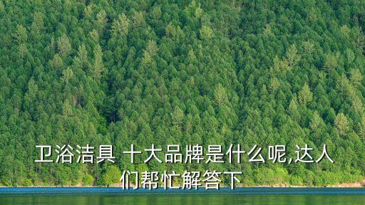  衛(wèi)浴潔具 十大品牌是什么呢,達(dá)人們幫忙解答下