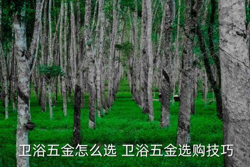  衛(wèi)浴五金怎么選 衛(wèi)浴五金選購技巧