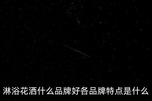 淋浴花灑什么品牌好各品牌特點是什么