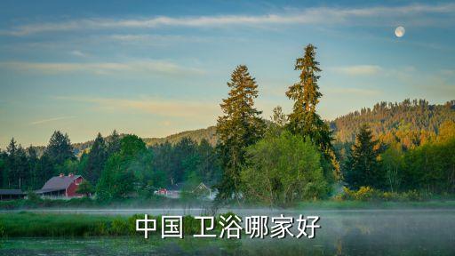 中國 衛(wèi)浴哪家好