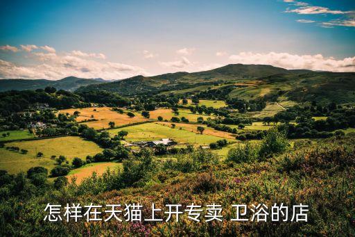 怎樣在天貓上開專賣 衛(wèi)浴的店