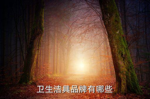 衛(wèi)生潔具品牌有哪些