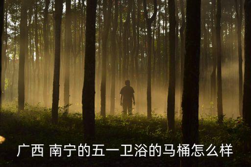 廣西 南寧的五一衛(wèi)浴的馬桶怎么樣