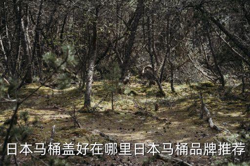 力盾衛(wèi)浴是哪里的品牌
