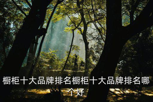 衛(wèi)浴通頂柜子效果圖片