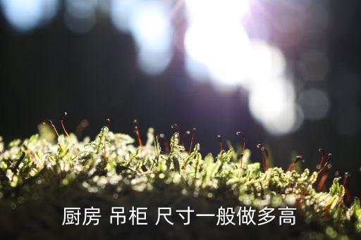 廚房 吊柜 尺寸一般做多高