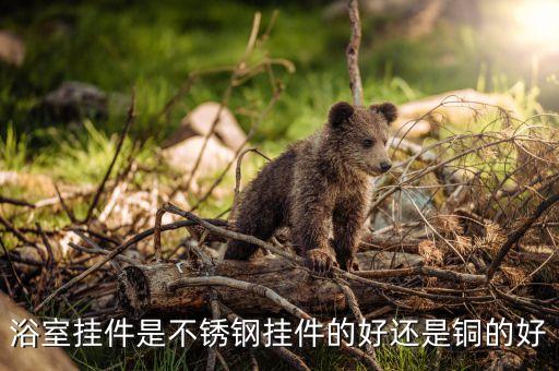 衛(wèi)浴掛鉤多高最合適圖片,衛(wèi)浴廣告圖片