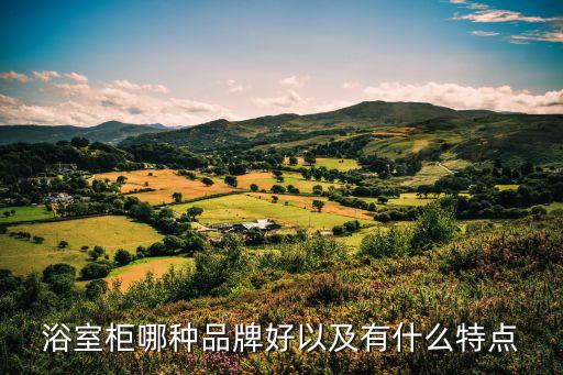 衛(wèi)浴柜品牌和普通有區(qū)別嗎
