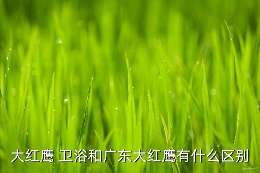 rigel衛(wèi)浴是什么品牌