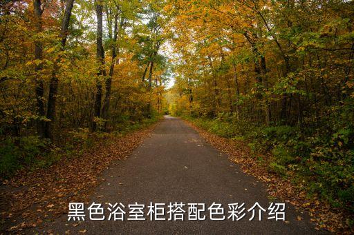 衛(wèi)浴配什么顏色好看呢圖片,衛(wèi)生間衛(wèi)浴什么顏色好看