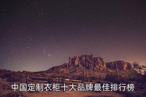 中國定制衣柜十大品牌最佳排行榜