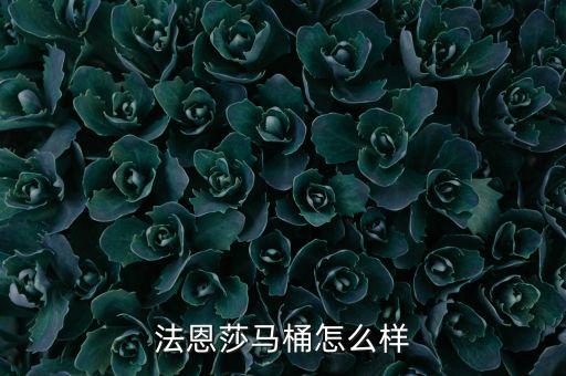 法恩莎馬桶怎么樣