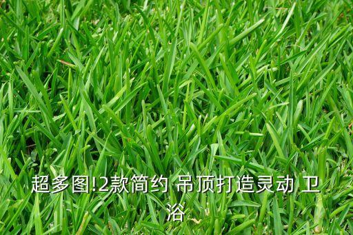 超多圖!2款簡約 吊頂打造靈動 衛(wèi)浴