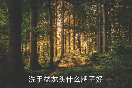 洗手盆龍頭什么牌子好