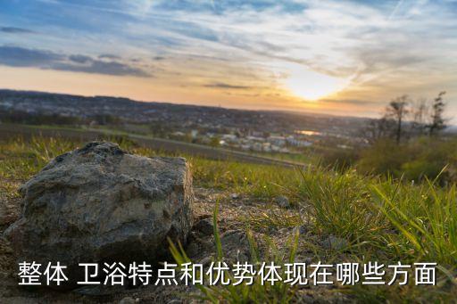 衛(wèi)浴裝修應(yīng)用圖紙圖片,衛(wèi)浴門市裝修門圖片