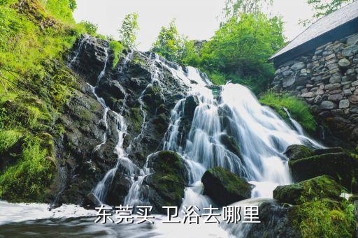 東莞買 衛(wèi)浴去哪里