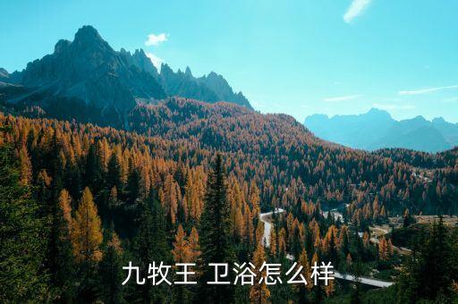衛(wèi)浴廠真實視頻大全圖片,安華衛(wèi)浴講解視頻大全