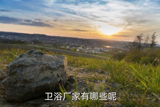  衛(wèi)浴廠家有哪些呢