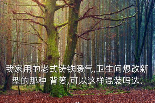 我家用的老式鑄鐵暖氣,衛(wèi)生間想改新型的那種 背簍,可以這樣混裝嗎選...