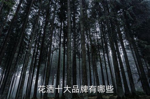  花灑十大品牌有哪些