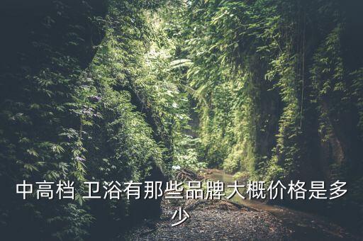 中高檔 衛(wèi)浴有那些品牌大概價格是多少