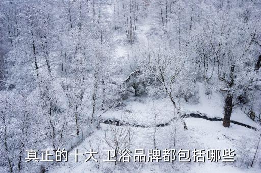 真正的十大 衛(wèi)浴品牌都包括哪些