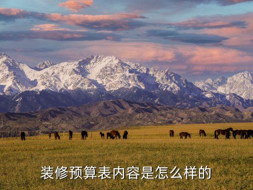 裝修預(yù)算表內(nèi)容是怎么樣的